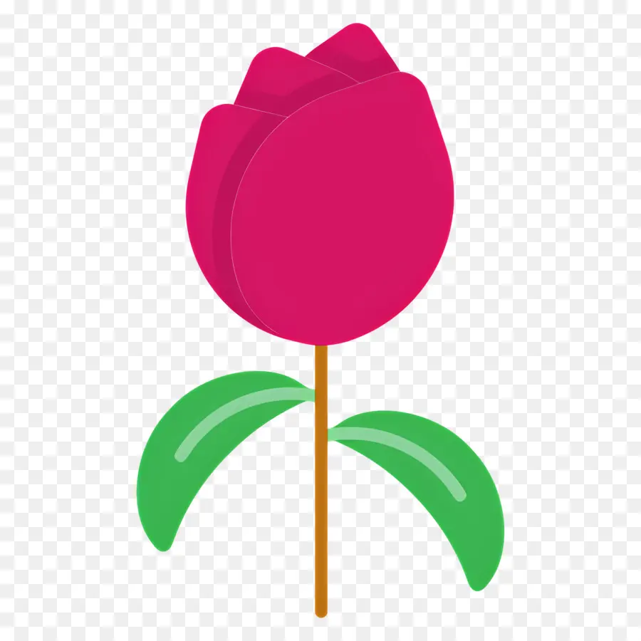 Flor Roja，Tulipán Rojo PNG