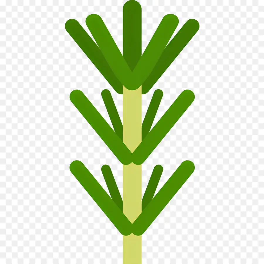 Romero，Planta Verde PNG