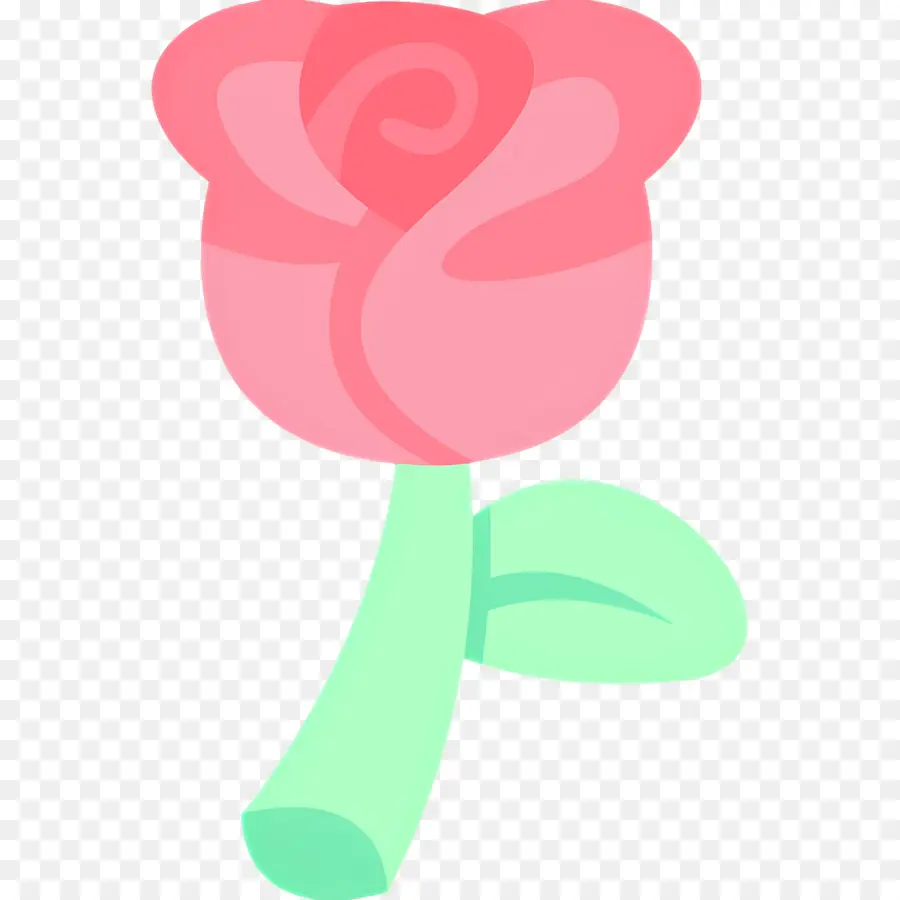 Flor Rosa，Rosa Rosa PNG