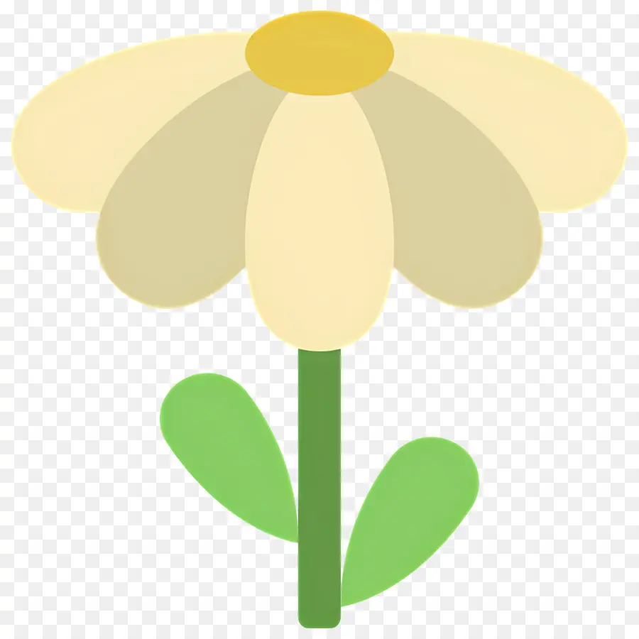 Flor De Margarita，Margarita PNG