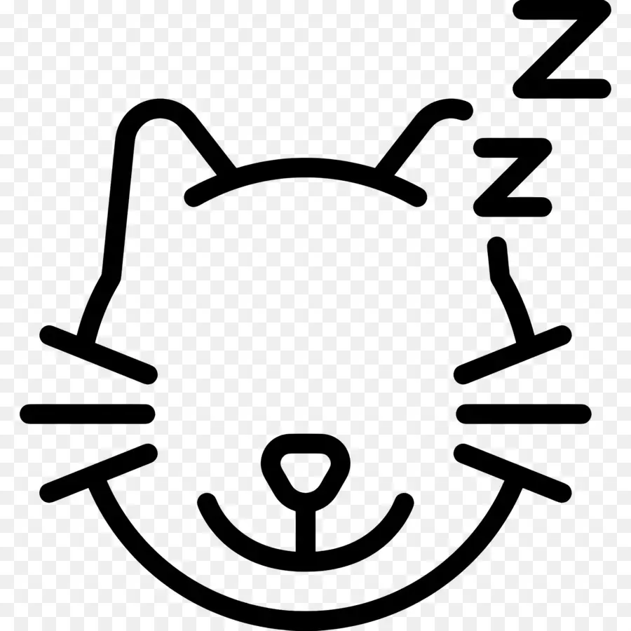 Gato Durmiendo，Zzz PNG