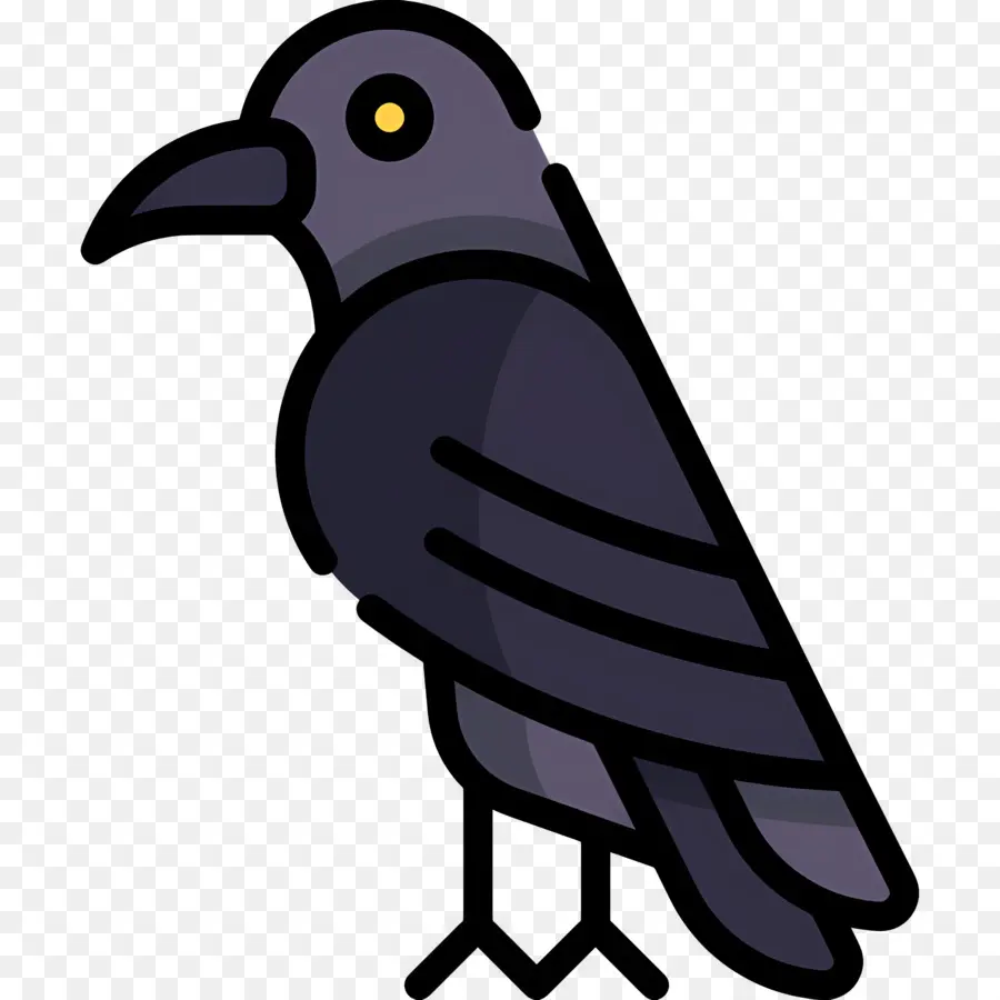 Cuervo，Pájaro Negro PNG