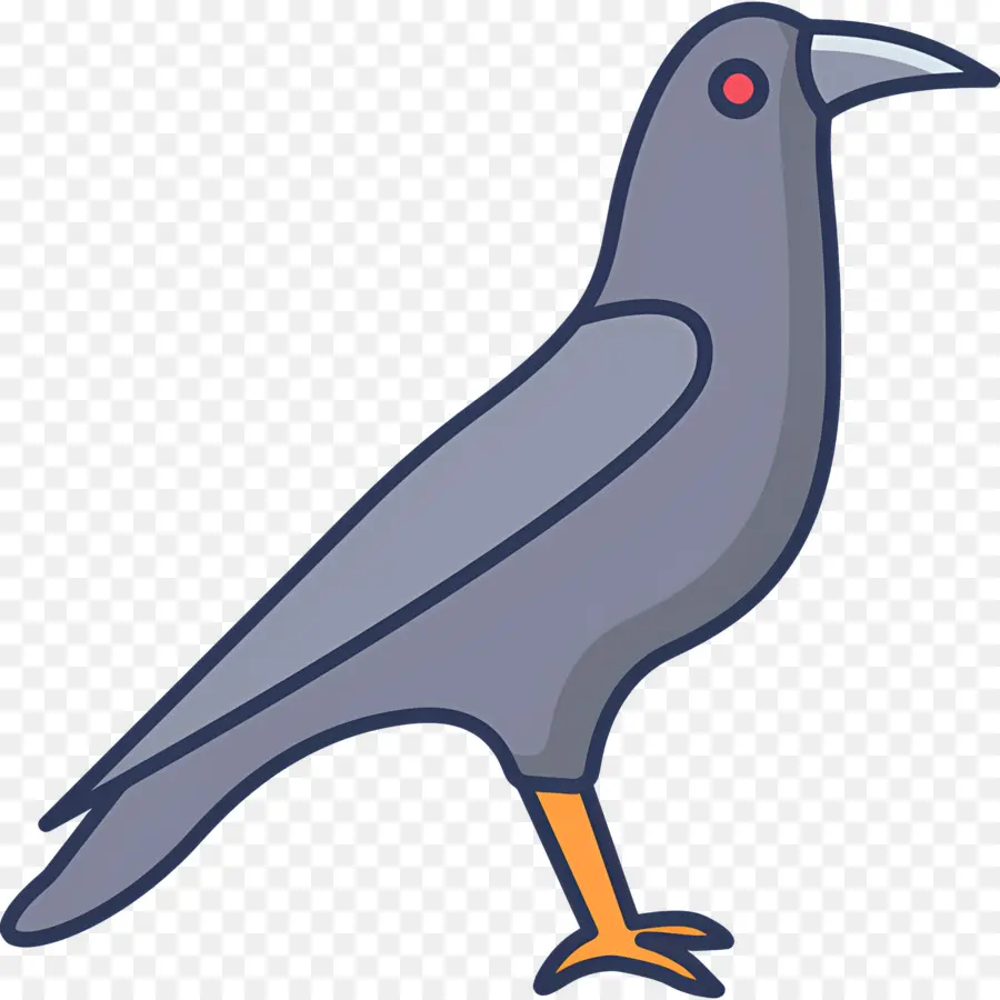 Cuervo，Pájaro Negro PNG