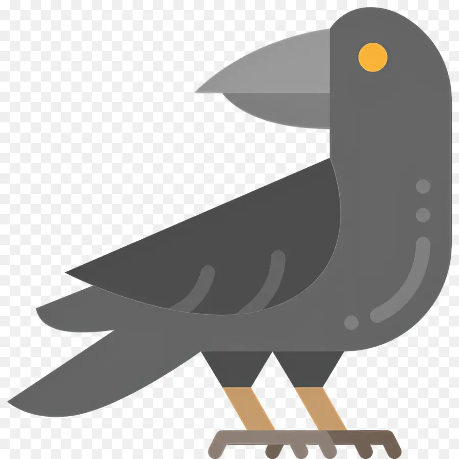 Cuervo，Pájaro Gris PNG