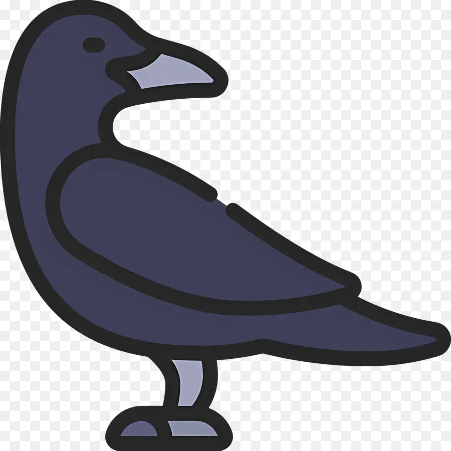 Cuervo，Pájaro Negro PNG