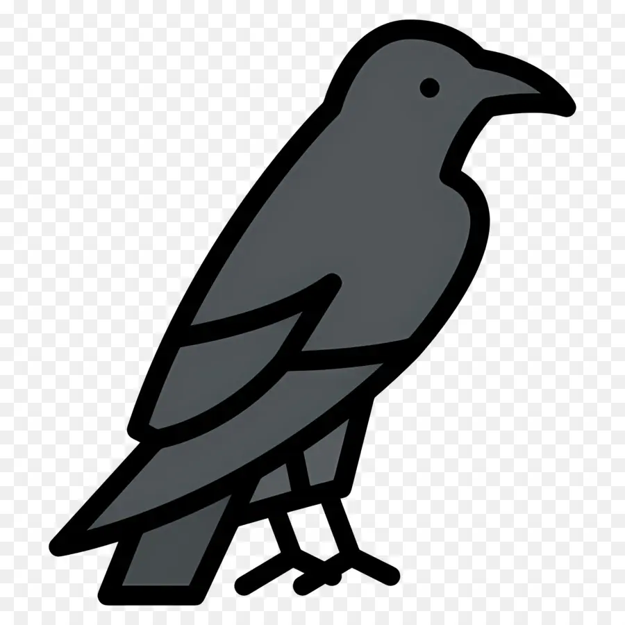 Cuervo，Pájaro Gris PNG