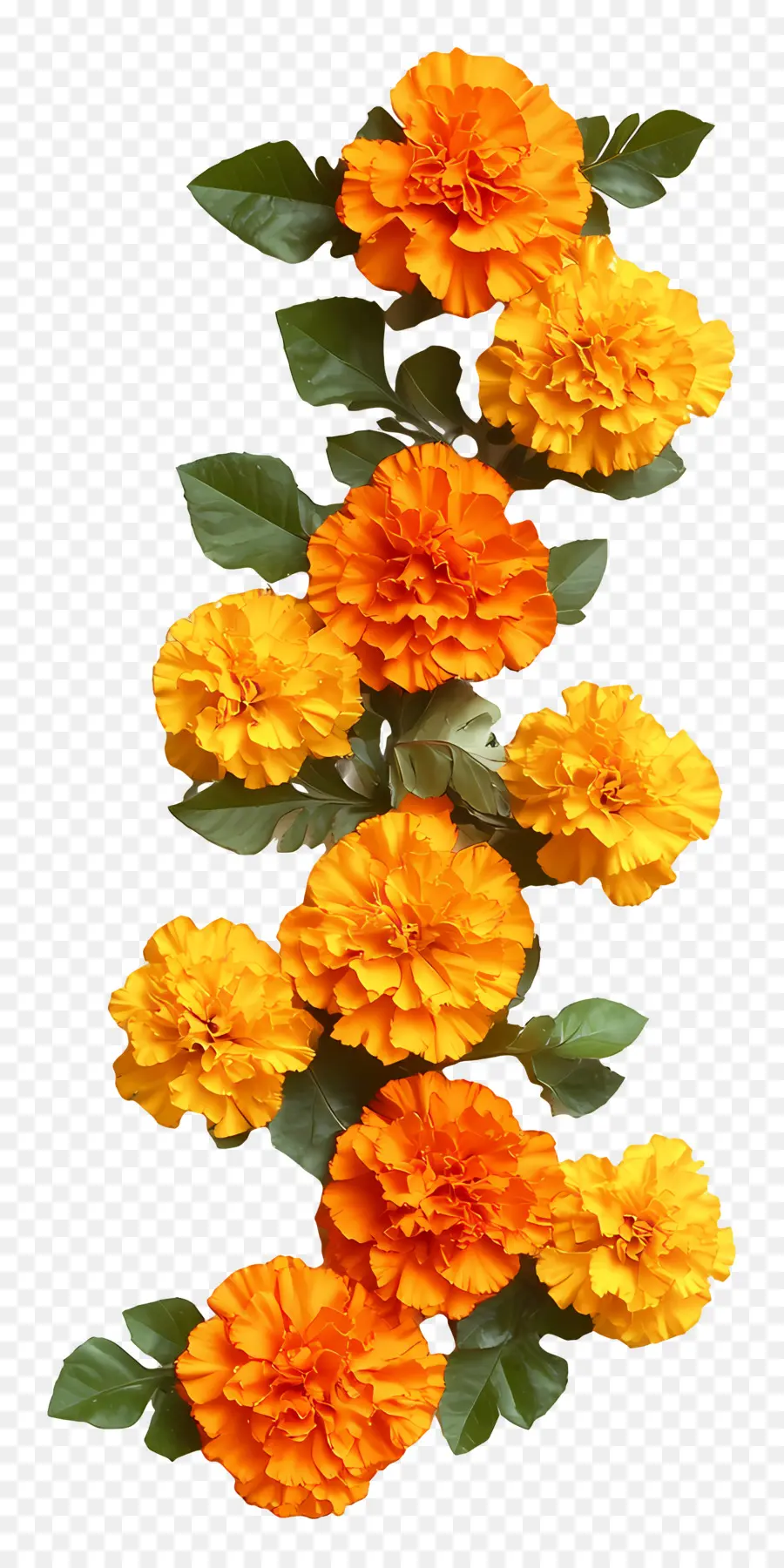 Guirnalda Ugadi，Guirnalda De Flores PNG