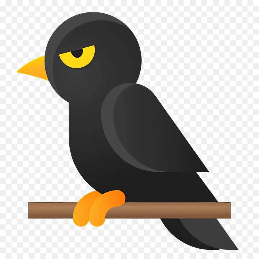 Cuervo，Pájaro Negro PNG