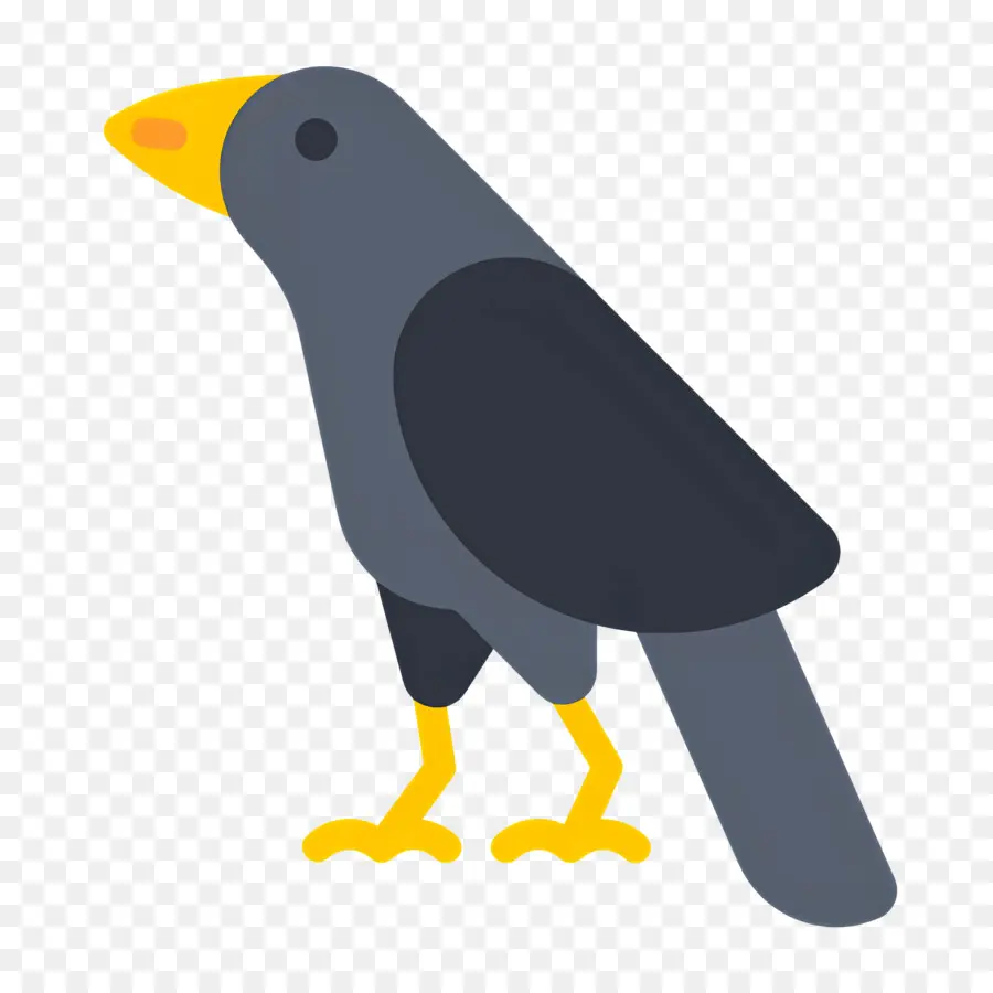 Cuervo，Pájaro Gris PNG