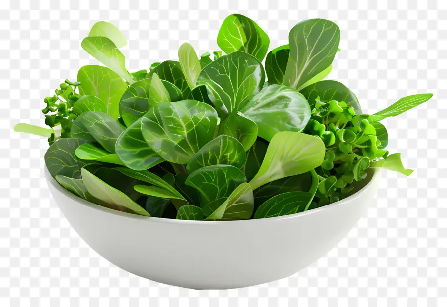 Ensalada Verde，Ensaladera PNG