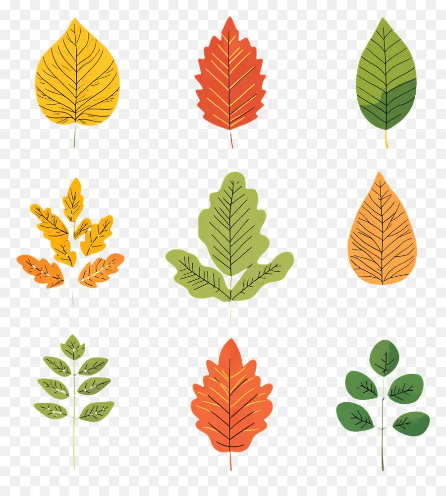 Hojas De Otoño，Caer PNG