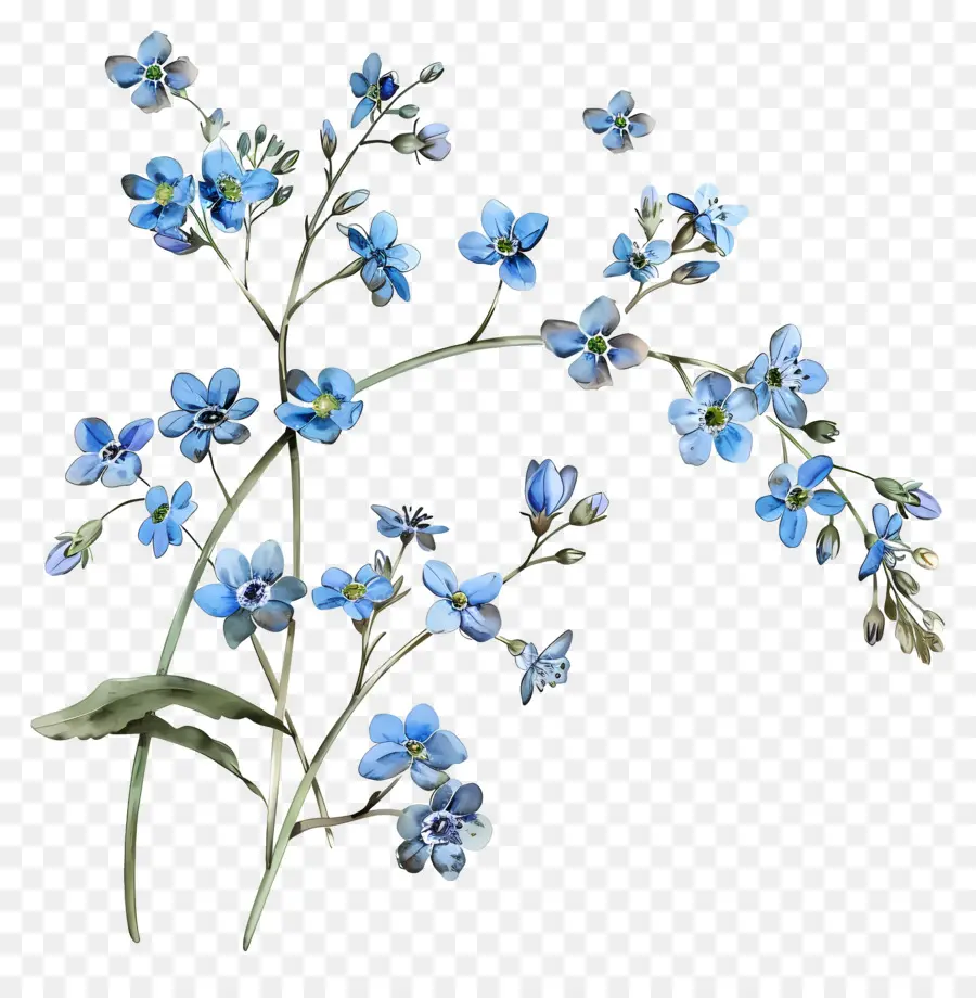 Flor Pequeña，Flores Azules PNG