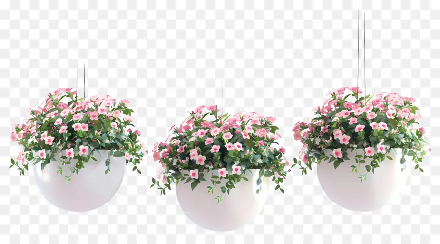 Flores Colgantes，Macetas Colgantes PNG