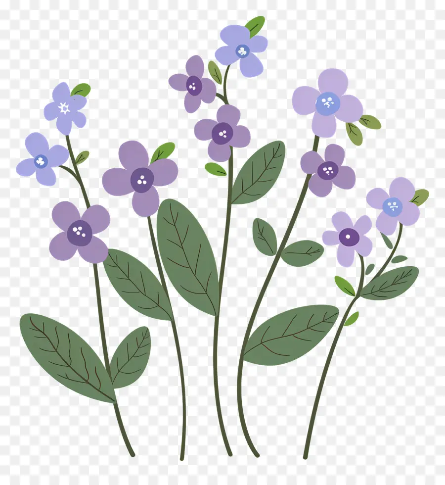 Flor Pequeña，Flores Moradas PNG