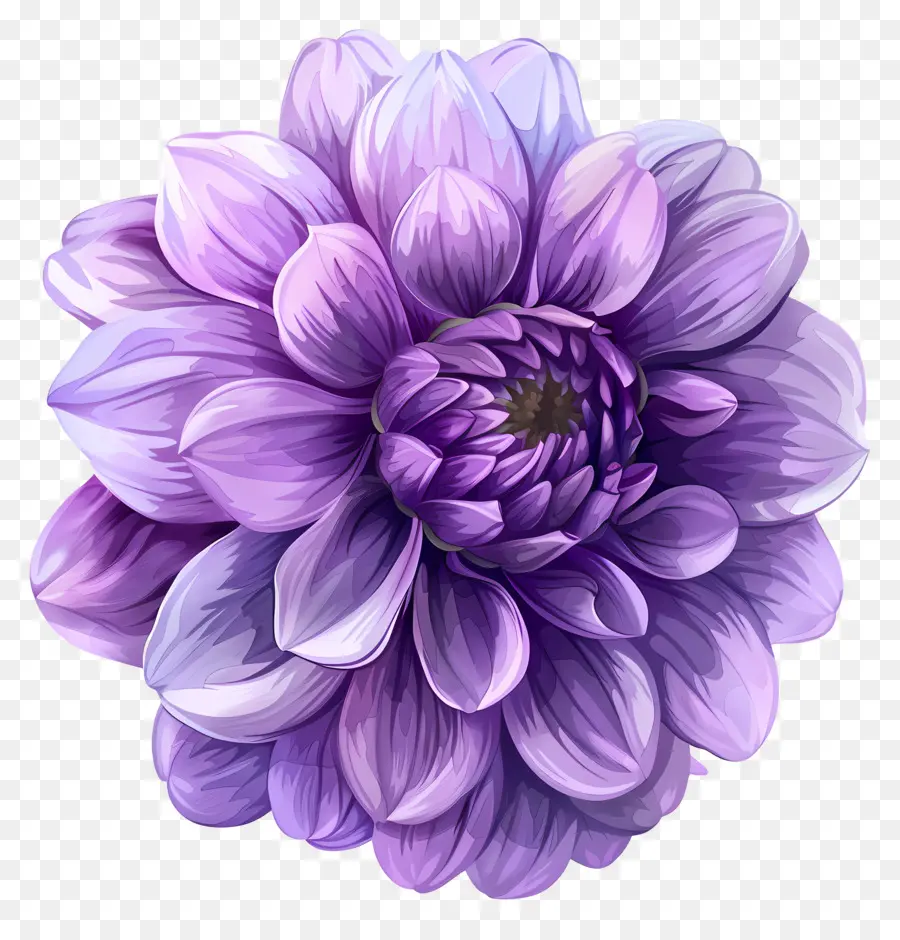 Flor De Dalia，Flor Morada PNG