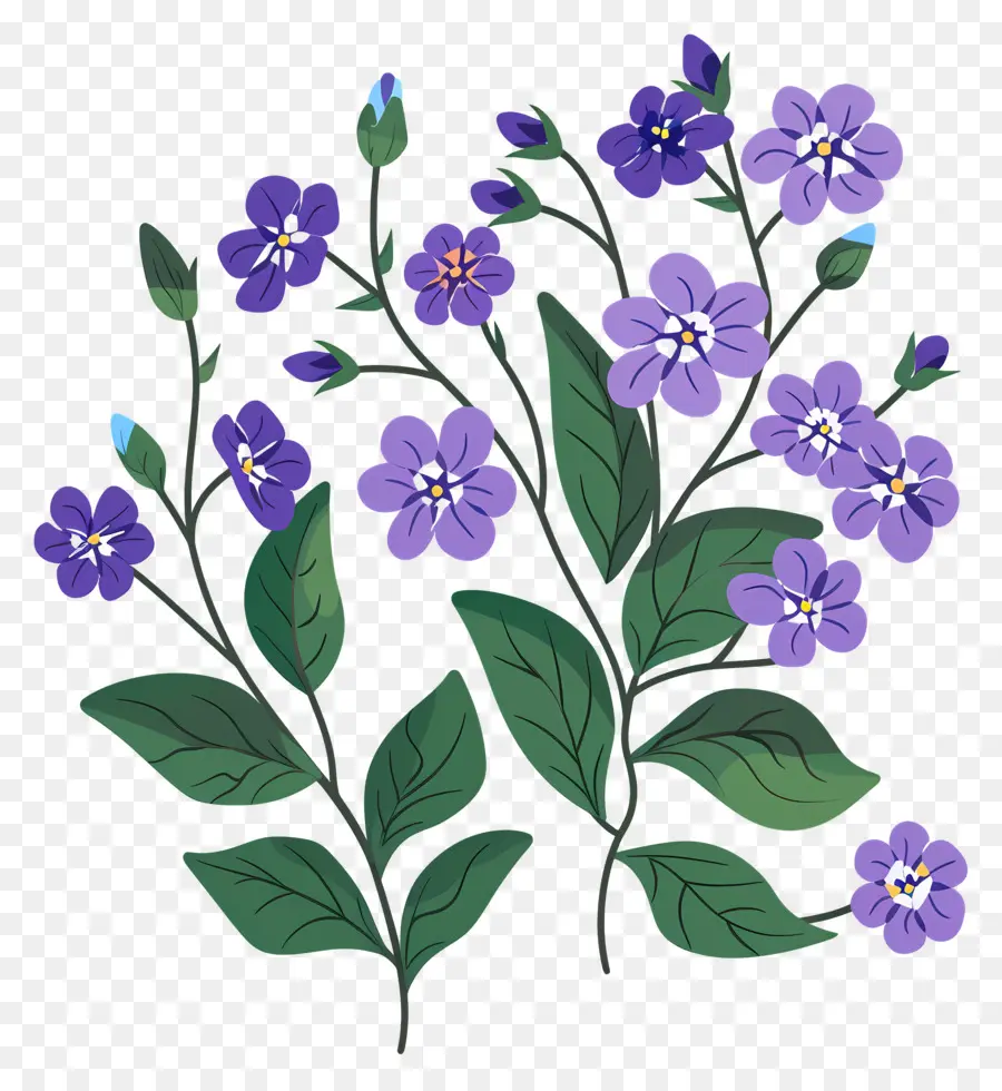 Flor Pequeña，Flores Moradas PNG