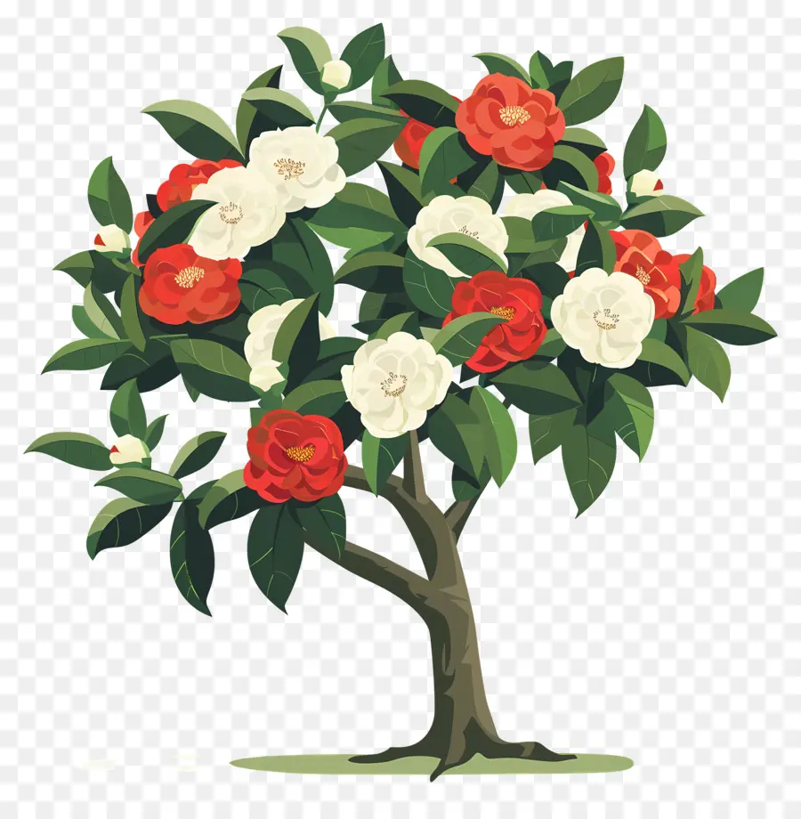 árbol De Flores，árbol Floreciente PNG