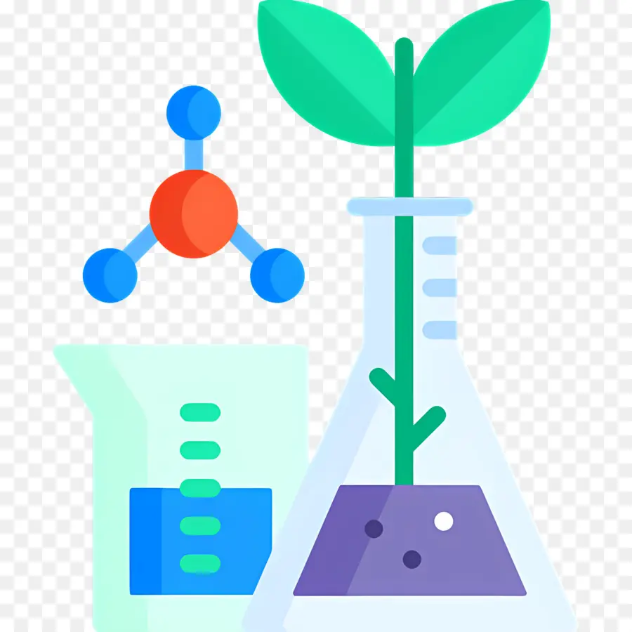 Laboratorio De Ciencias，Experimento De Plantas PNG