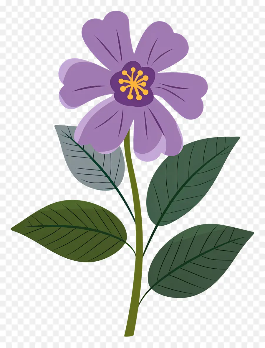 Flor Pequeña，Flor Morada PNG