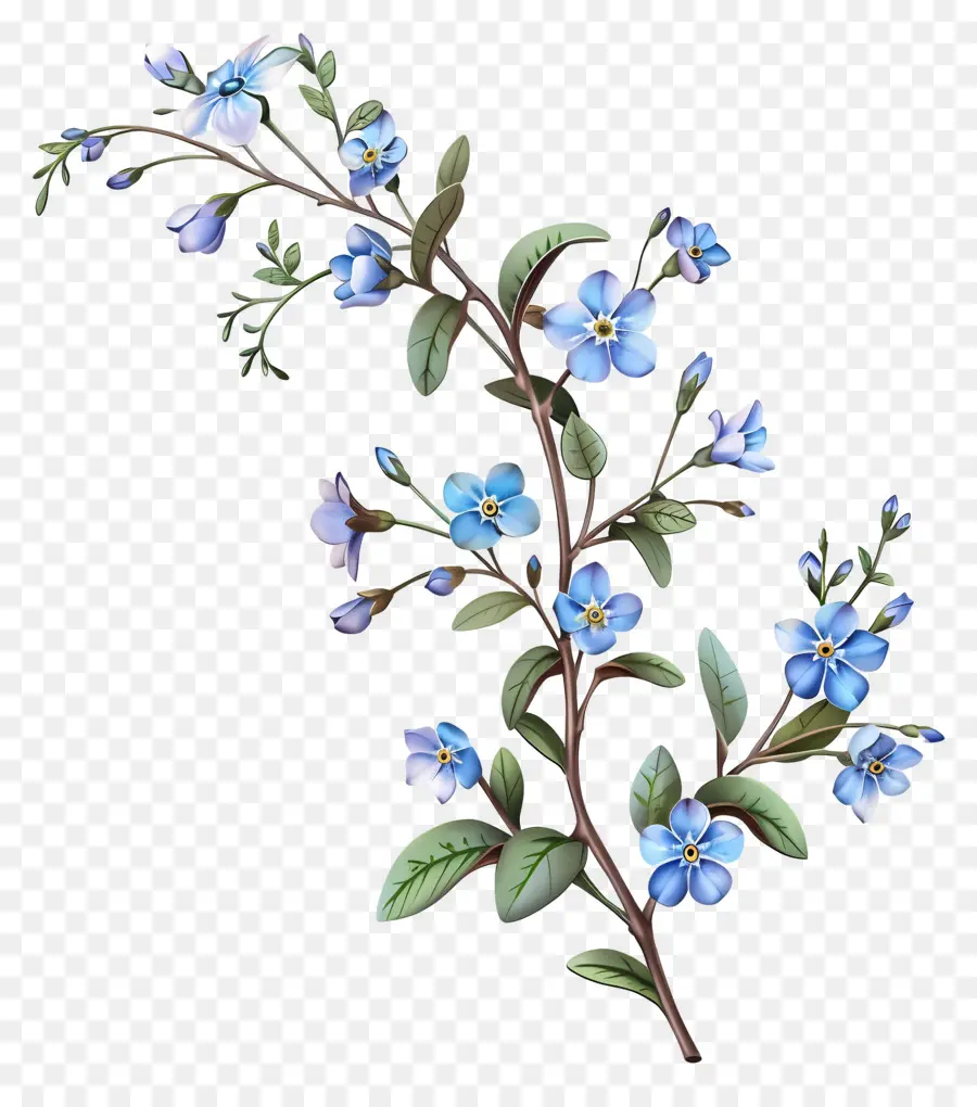 Flor Pequeña，Flores Azules PNG