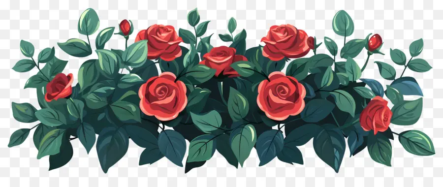 Rosal，Rosas PNG