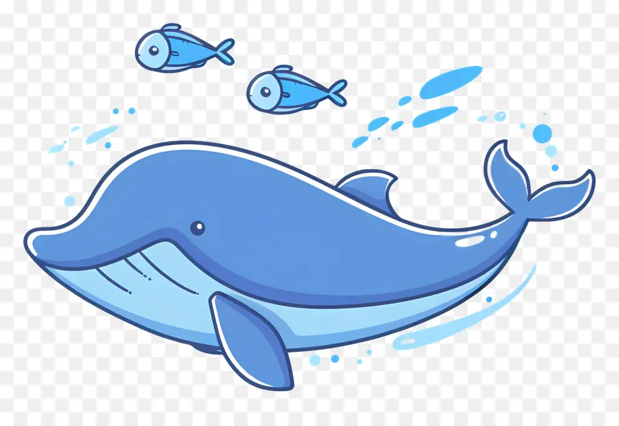 Ballena Y Pez，Ballena PNG