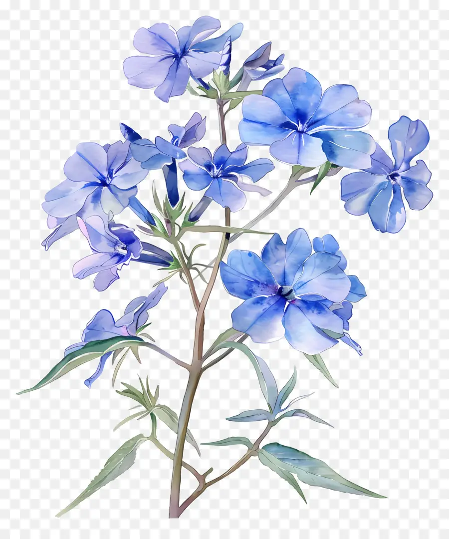 Flor Pequeña，Flores Azules PNG