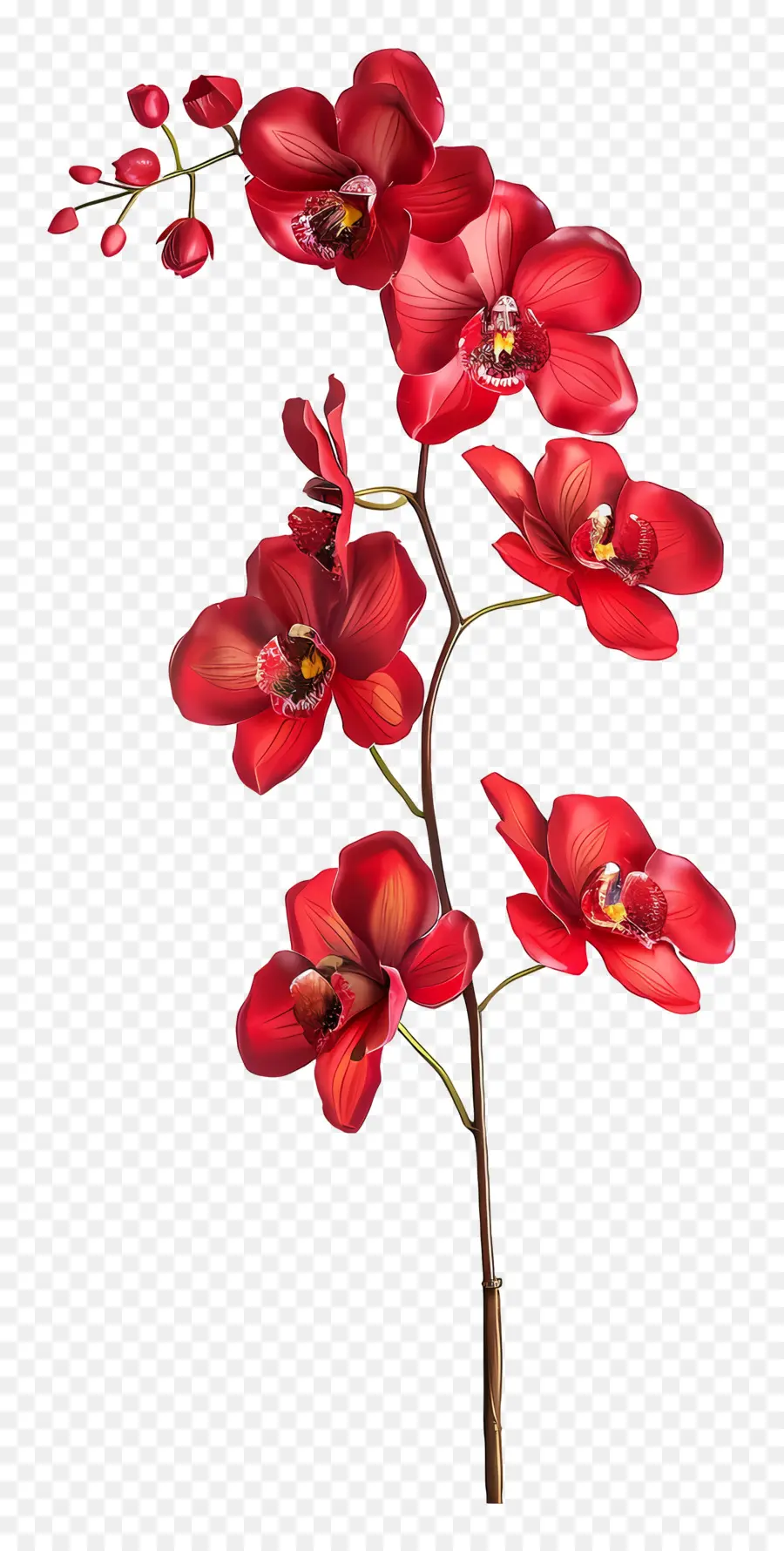 Flor De Orquídea，Orquídeas Rojas PNG