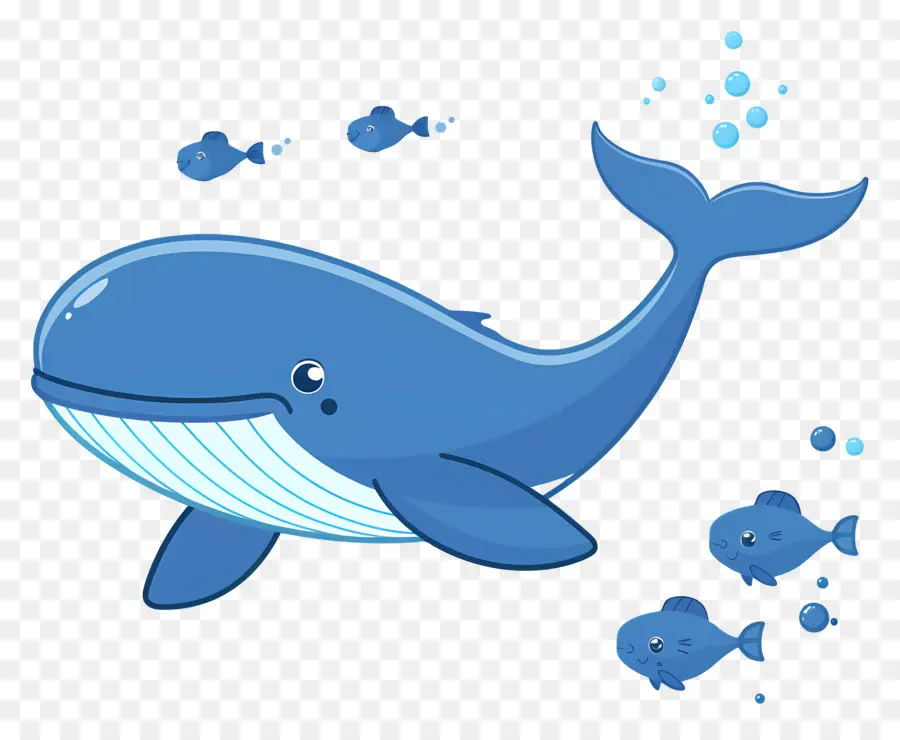 Ballena Y Pez，Ballena PNG