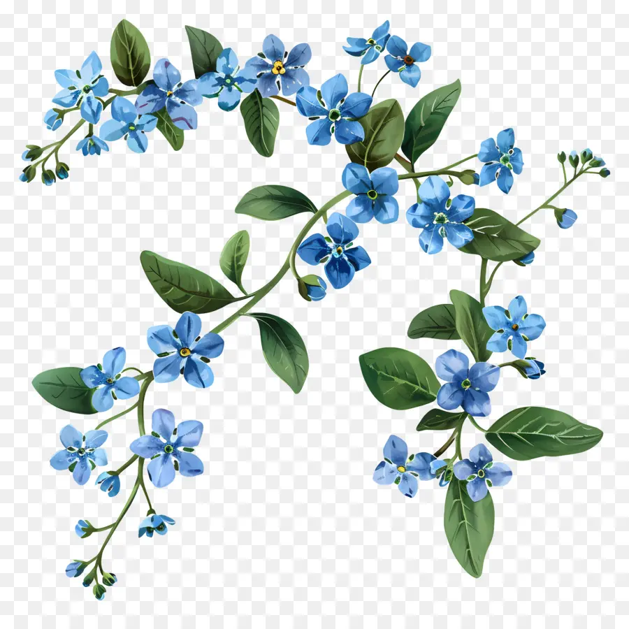 Flor Pequeña，Flores Azules PNG