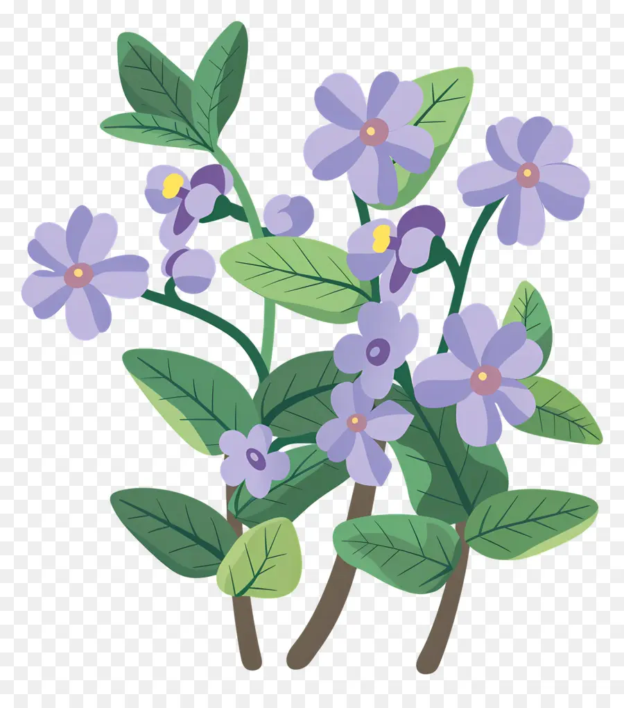 Flor Pequeña，Flores Moradas PNG