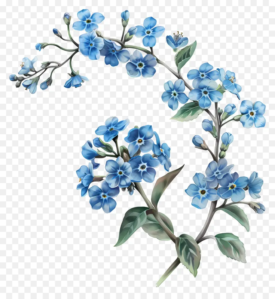 Flor Pequeña，Flores Azules PNG