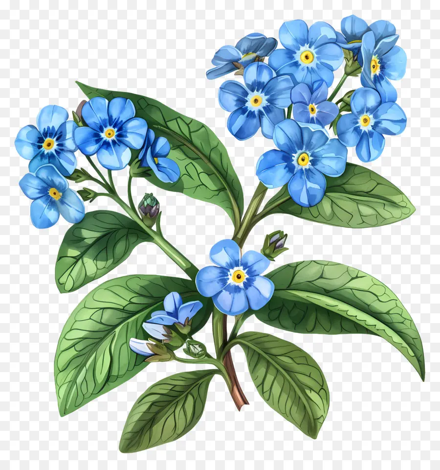 Flor Pequeña，Flores Azules PNG