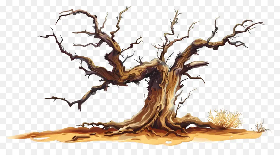 árbol Muerto，Sucursales PNG