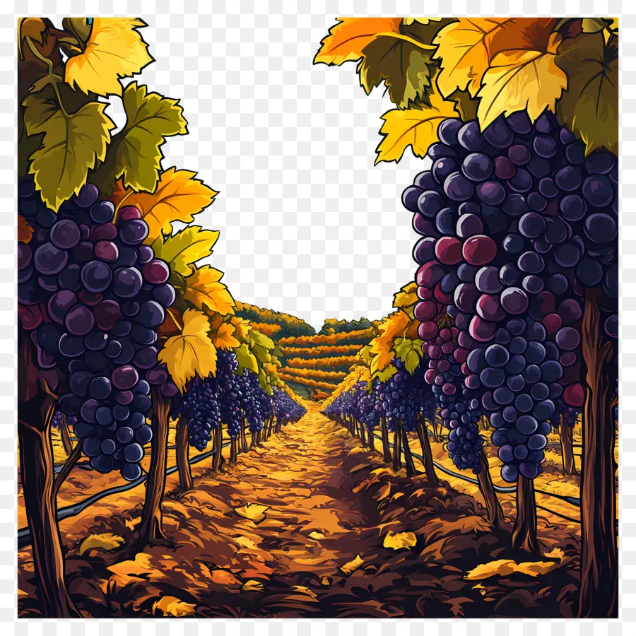 Viñedo，Uvas PNG