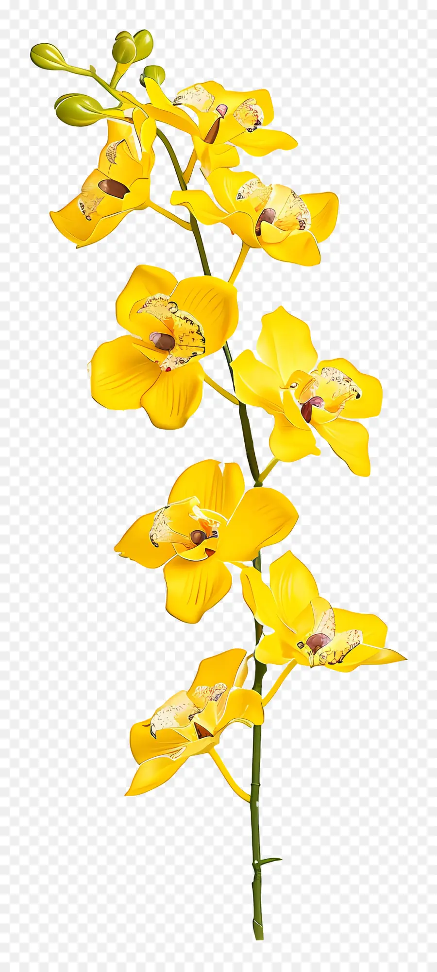 Flor De Orquídea，Orquídea Amarilla PNG