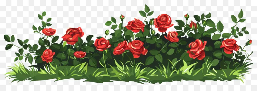 Rosal，Rosas PNG