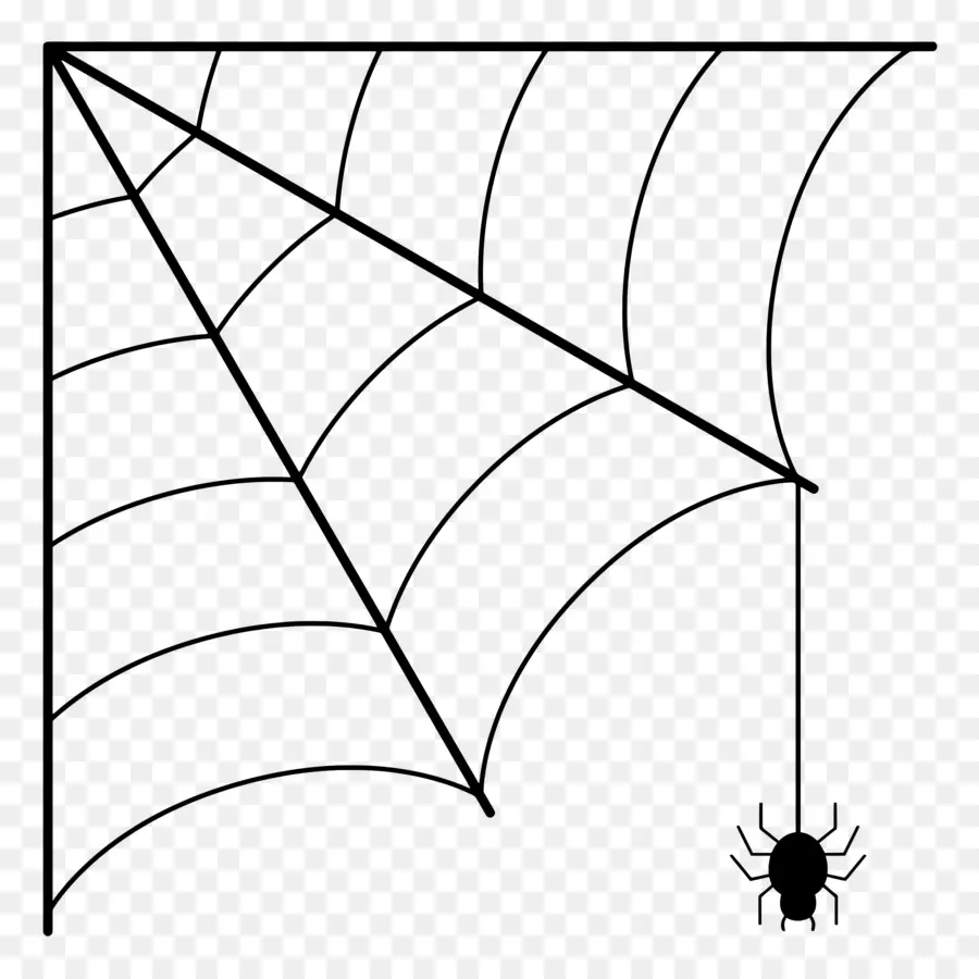 Telaraña De Halloween，Telaraña PNG