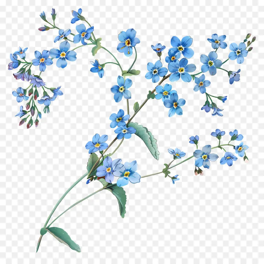 Flor Pequeña，Flores Azules PNG