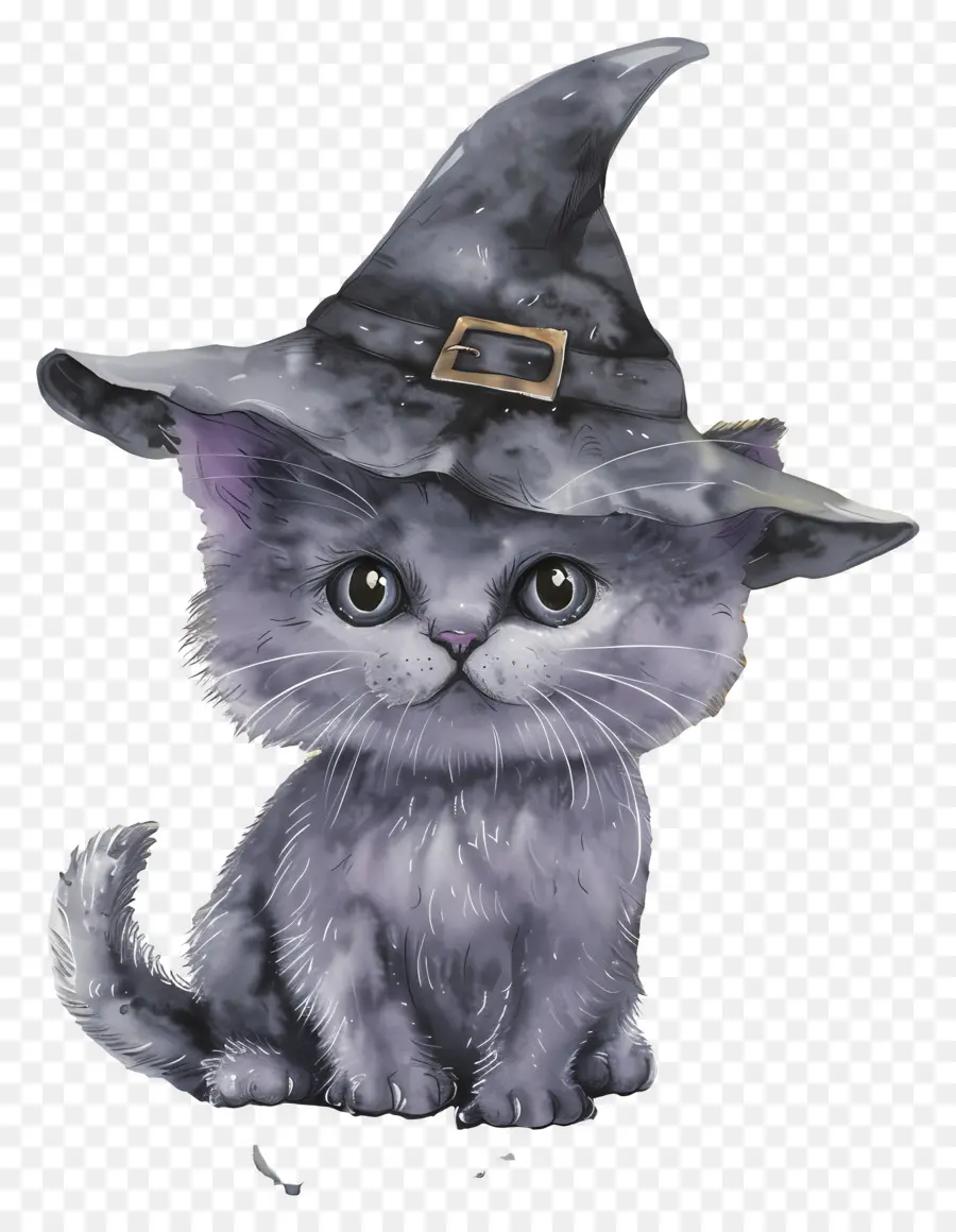 Gato De Halloween，Gato Negro Con Sombrero De Bruja PNG