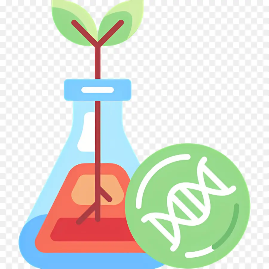 Laboratorio De Ciencias，Planta En Matraz PNG