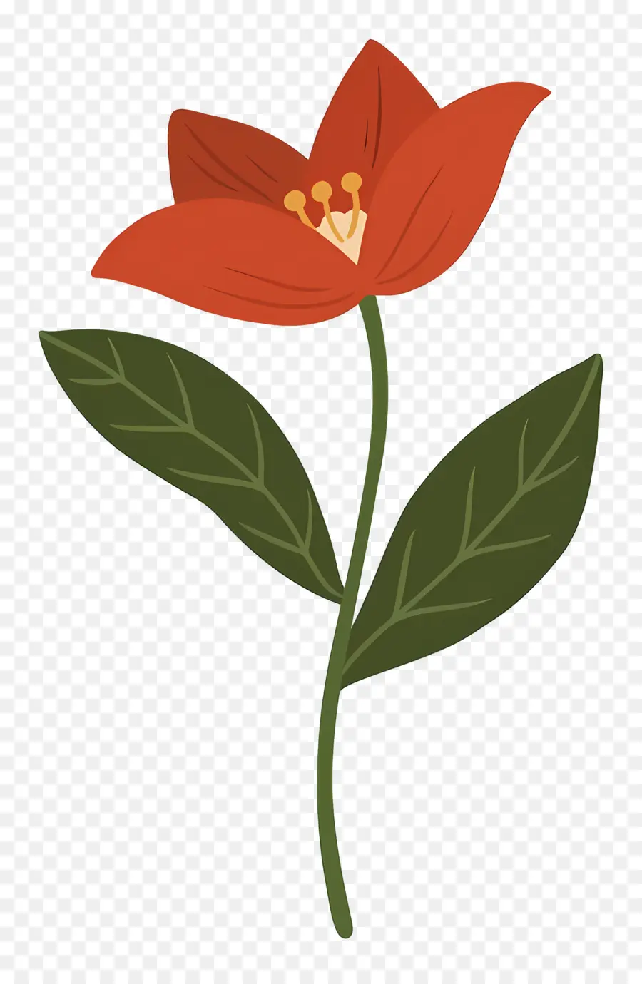 Flor única，Tulipán Rojo PNG