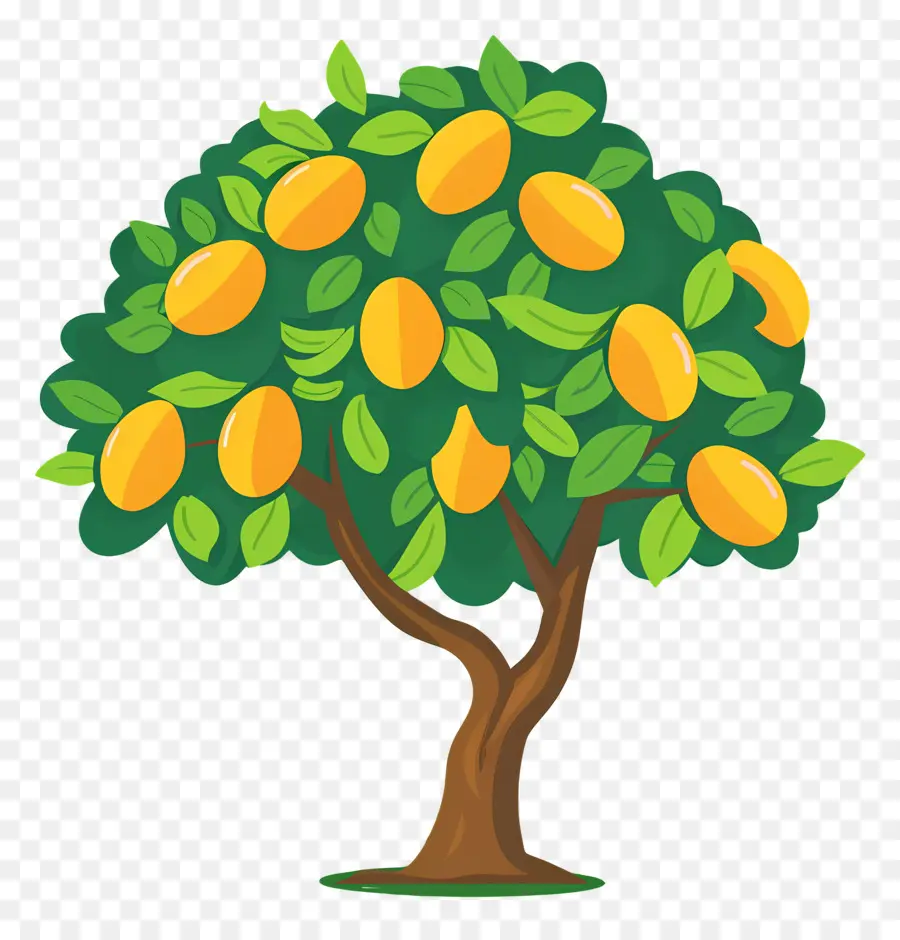 árbol De Mango，Fruta PNG