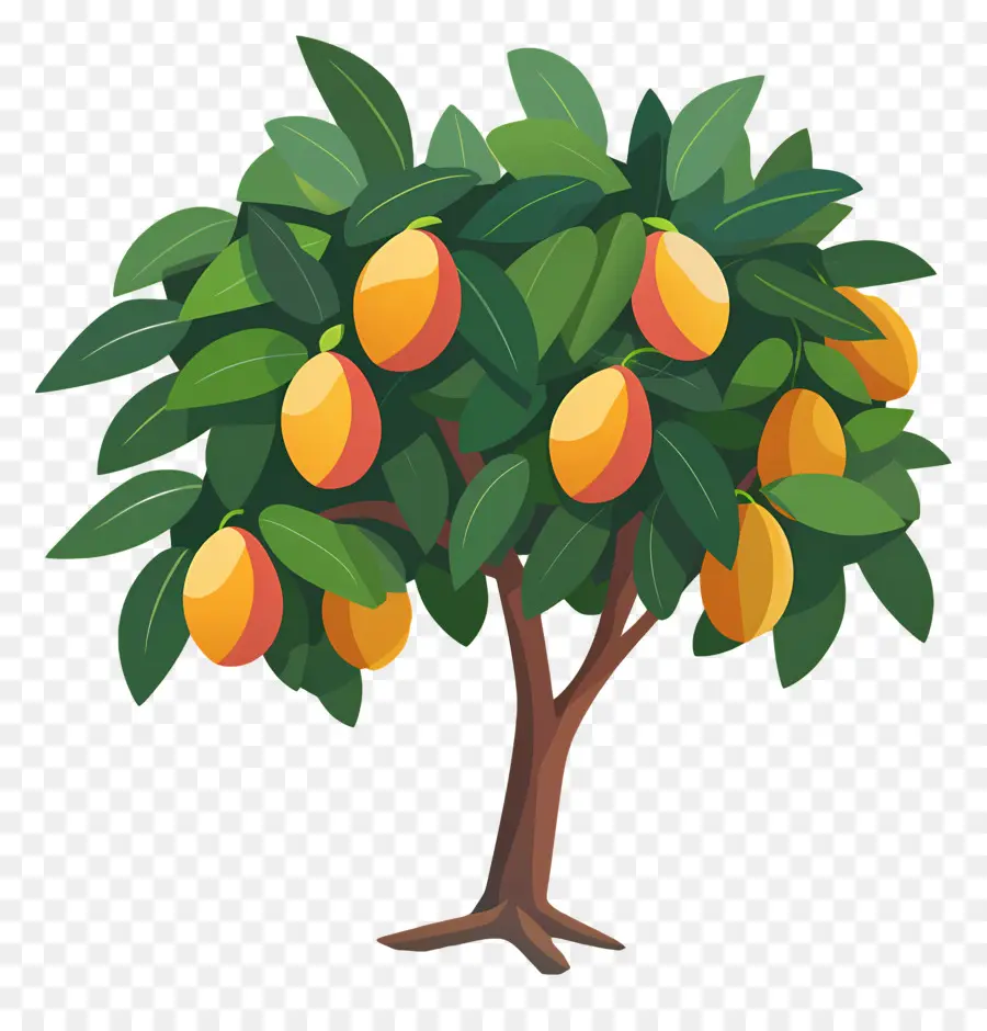 árbol De Mango，Fruta PNG