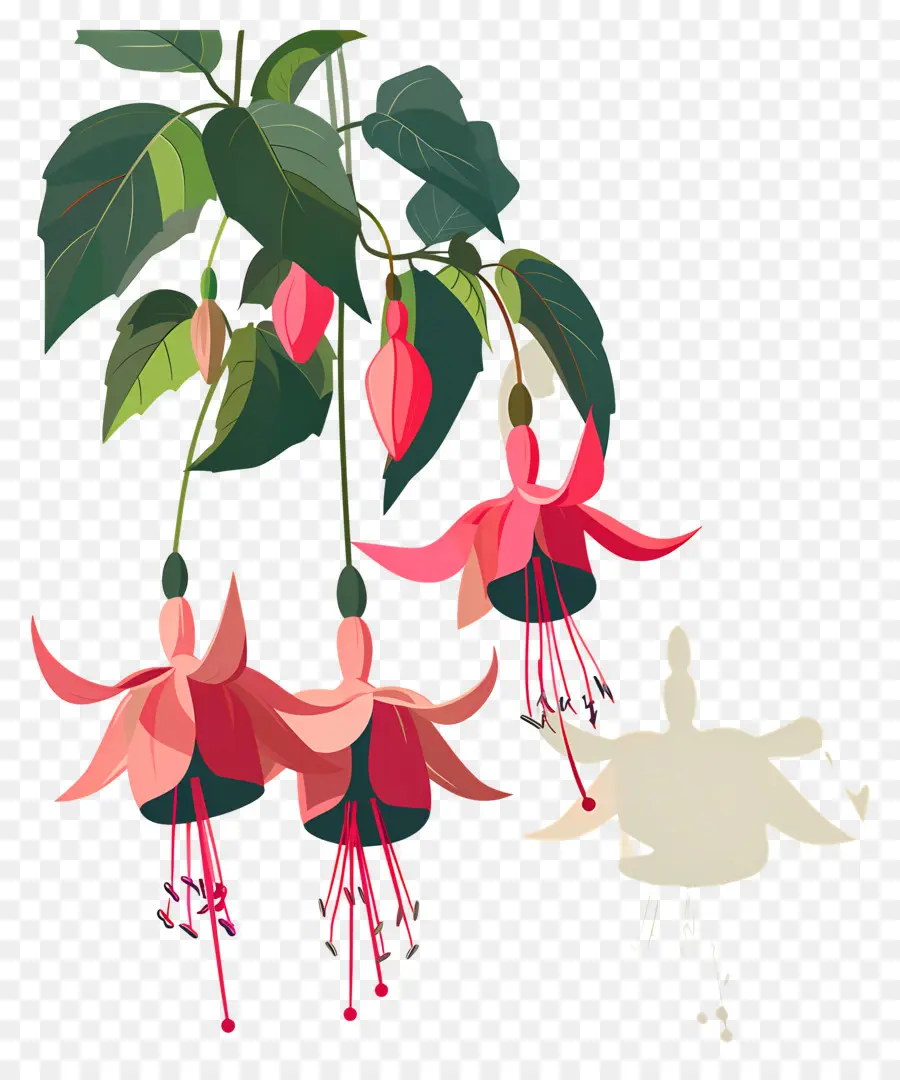 Flores Colgantes，Flores Rosadas Fucsias PNG