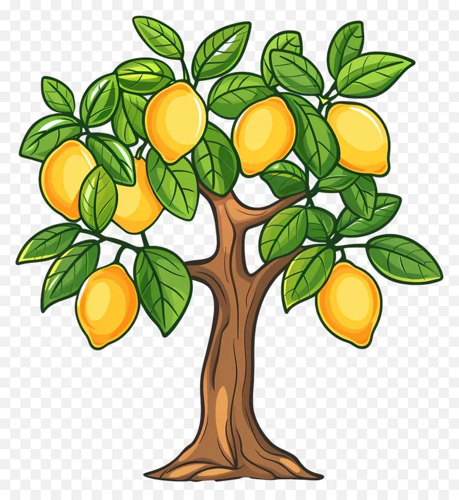 Limonero，árbol De Mango PNG