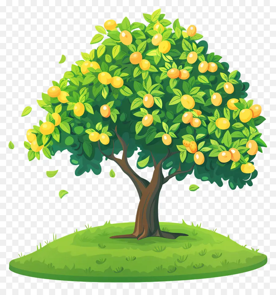 árbol De Mango，Fruta PNG