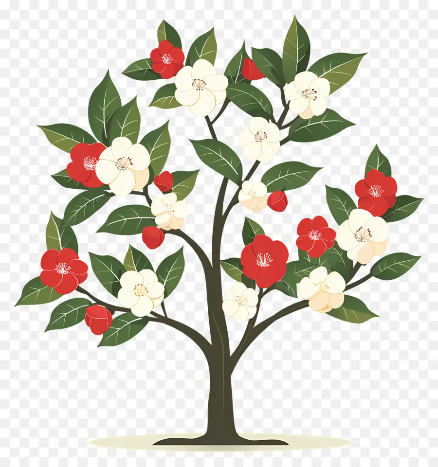 árbol De Flores，Árbol Con Flores Rojas Y Blancas PNG