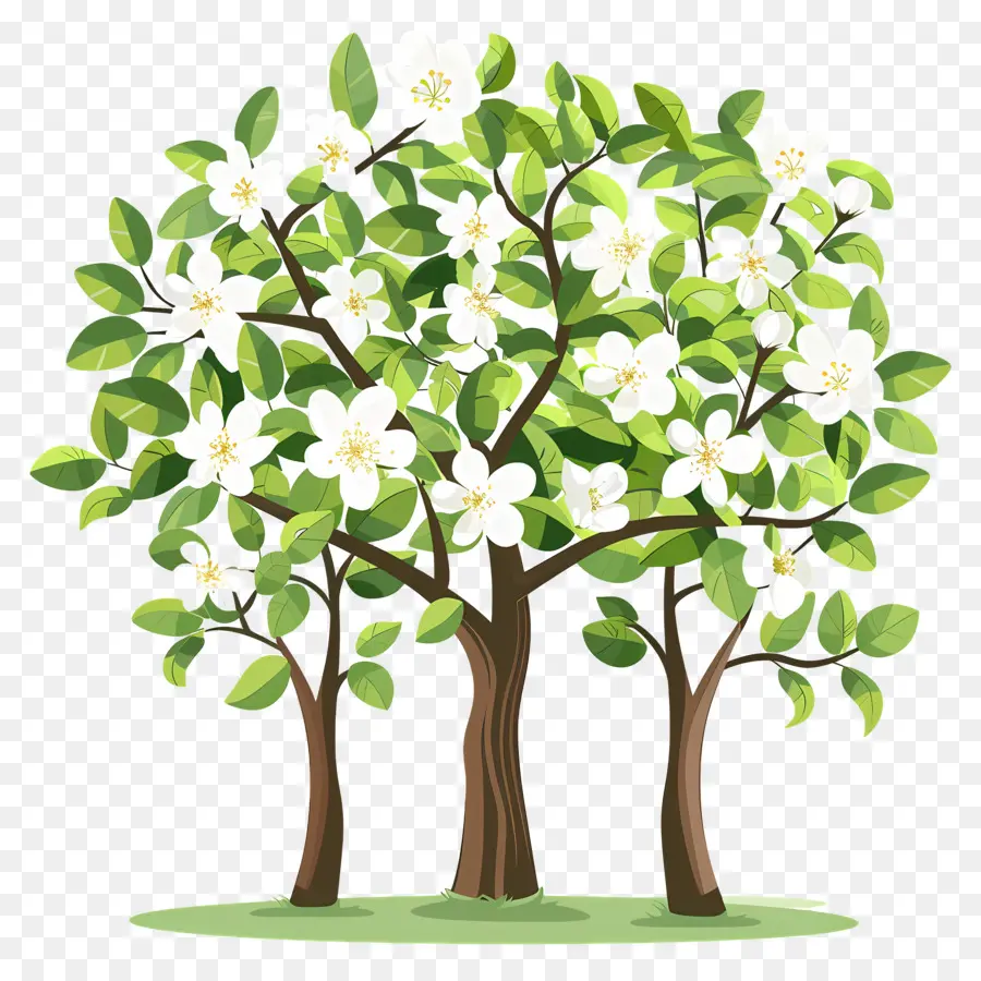 árbol De Flores，Tres árboles En Flor PNG