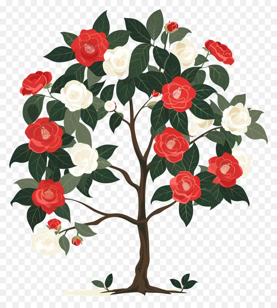 árbol De Flores，Árbol Con Flores Rojas Y Blancas PNG